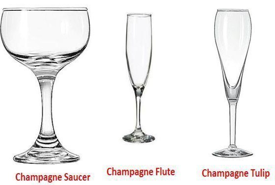 Difference between a Champagne Tulip and a Flute?